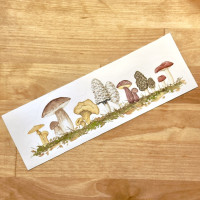 Edible Mushrooms of Alaska Vinyl Sticker