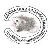 Screaming Baby Hippo & Possum Stickers