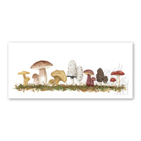 Edible Mushrooms Watercolor Greeting Card